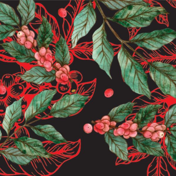 Perú Cajamarca Perú Cajamarca